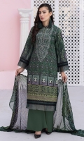 zebaish-jazib-e-nazar-lawn-2pc-2022-11