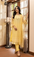 zeenat-chiffon-2022-1