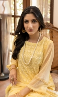 zeenat-chiffon-2022-3