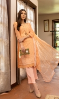 zeenat-chiffon-2022-4