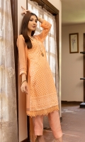 zeenat-chiffon-2022-5