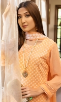 zeenat-chiffon-2022-6