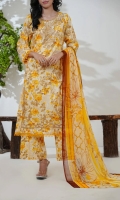vs-anaya-lawn-2026-1