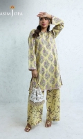 asim-jofa-the-minimal-daily-pret-2025-17