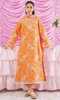 ayzel-rinesa-lawn-2024-25