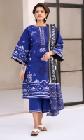 bin-ilyas-aaina-summer-2025-1