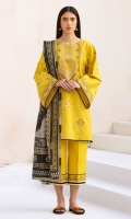 bin-ilyas-aaina-summer-2025-3