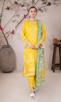 brenish-gulana-2025-12