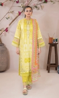 brenish-gulana-2025-5