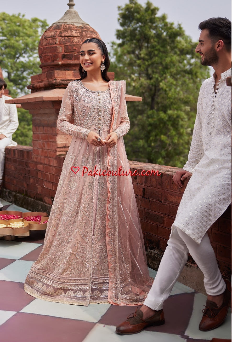 Luxury pakistani dresses on sale