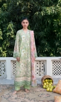 neeshay-summer-lines-2026-1