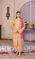 salina-lawn-vol-09-2025-13
