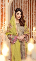 zinnia-festive-edition-by-rang-rasiya-2020-23